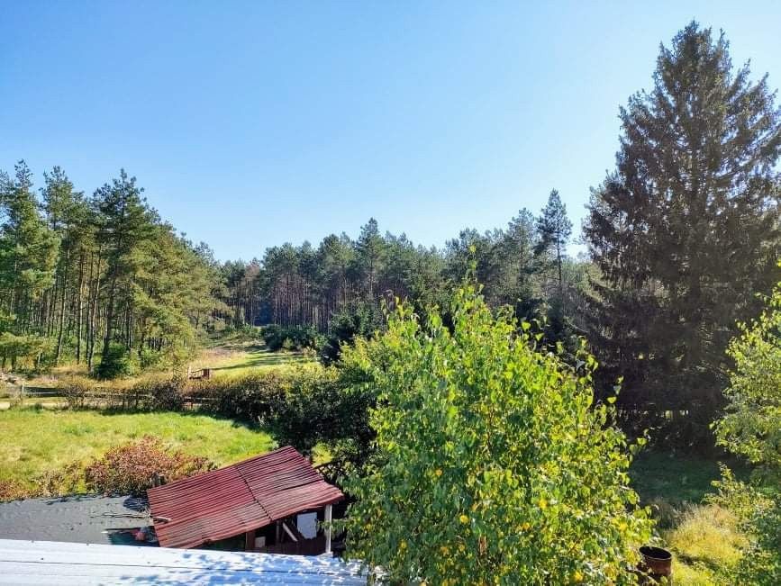 Działka rekreacyjna Wygoda. Zdjęcie 2