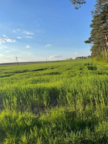 Działka rolna Wielka Wieś. Zdjęcie 1