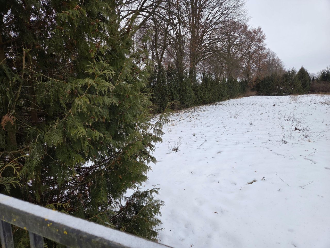 dom wolnostojący, 7 pokoi Strączno. Zdjęcie 64