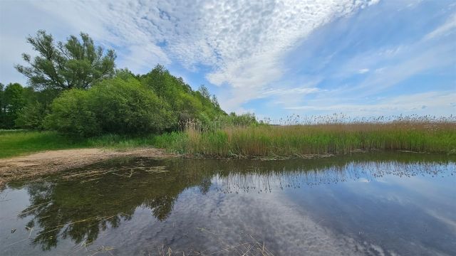 Działka rolna Dziubiele. Zdjęcie 24