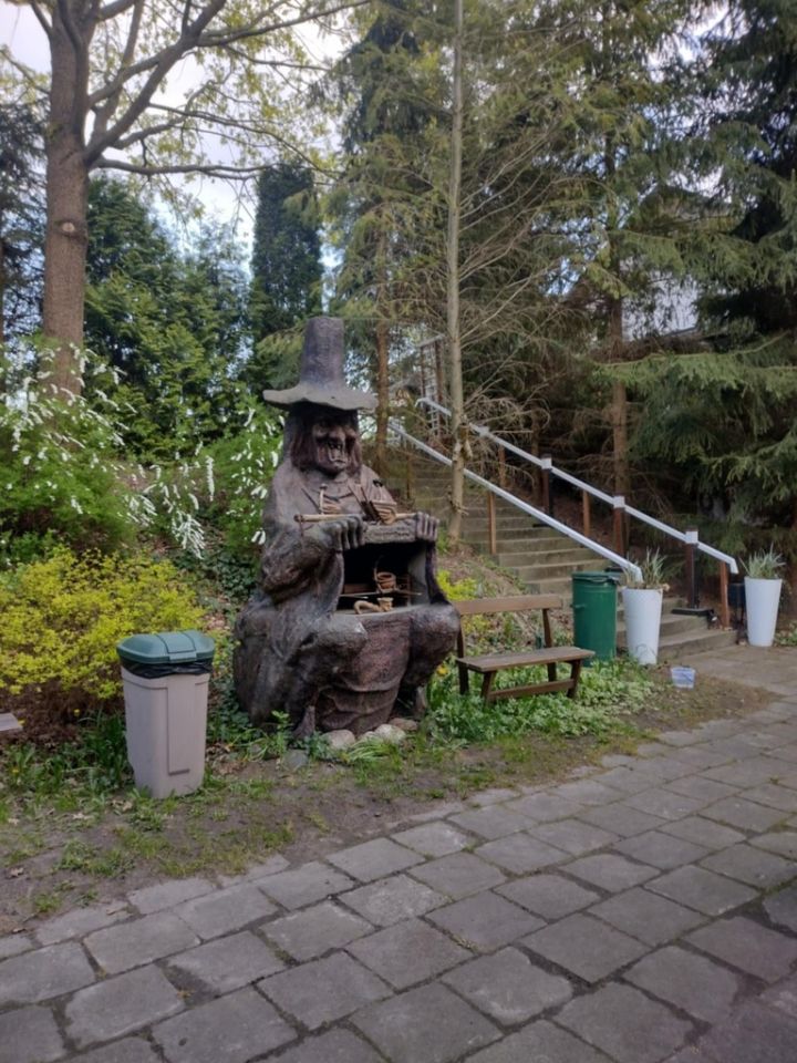 Nieruchomość komercyjna Białobrzegi, ul. Wczasowa. Zdjęcie 20