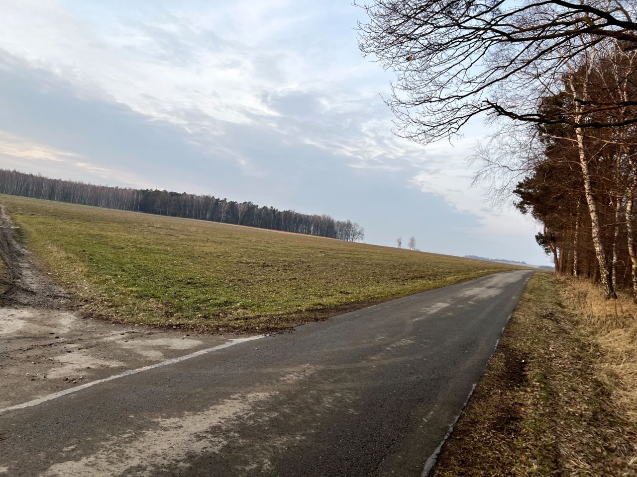 Działka budowlana Wilkowiczki, ul. Osiedlowa. Zdjęcie 6