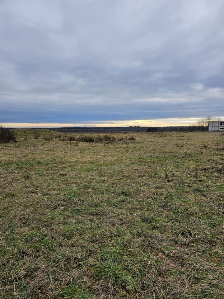 Działka inwestycyjna Zalesie. Zdjęcie 7