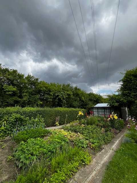 Działka rod Malbork. Zdjęcie 5