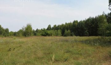 Działka rolna Zadąbrów