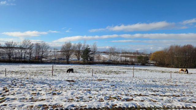 Działka siedliskowa Sady. Zdjęcie 11