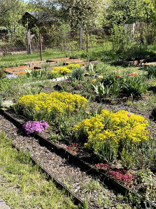 Działka rod Końskie. Zdjęcie 7