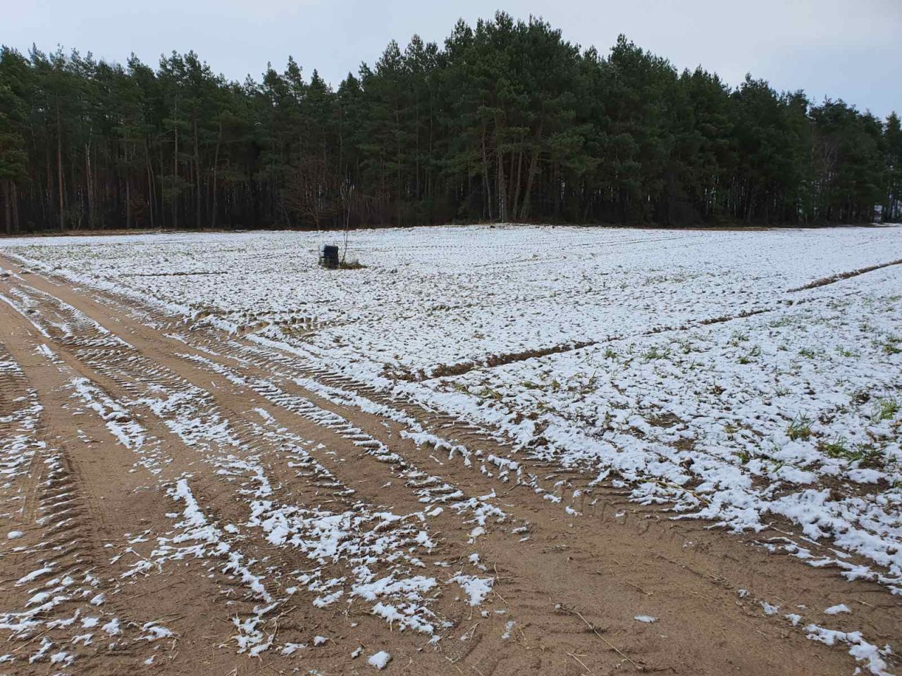 Działka budowlana Gorczeniczka. Zdjęcie 12