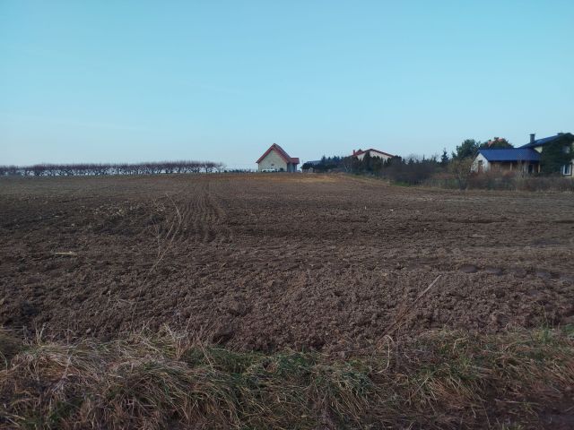 Działka siedliskowa Bogdaszowice, ul. Torfowa. Zdjęcie 1