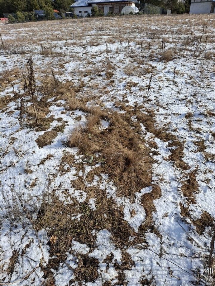 Działka budowlana Sominy. Zdjęcie 7