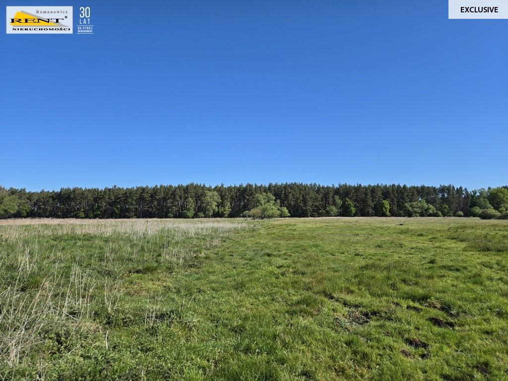 Działka rolna Szczecin. Zdjęcie 14