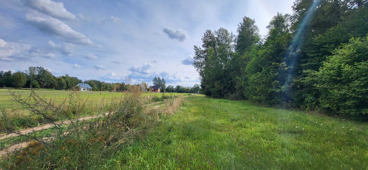 Działka budowlana Budy Ciepielińskie. Zdjęcie 5