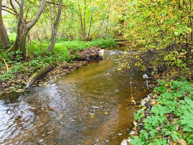 Działka inwestycyjna Mielno. Zdjęcie 1