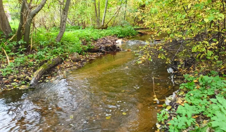 Działka inwestycyjna Mielno