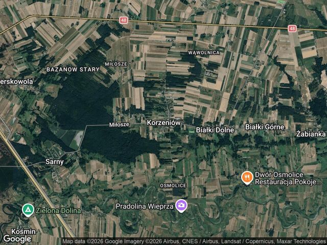 Lokal Korzeniów. Zdjęcie 1