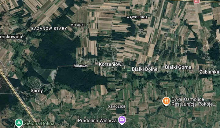Lokal Korzeniów