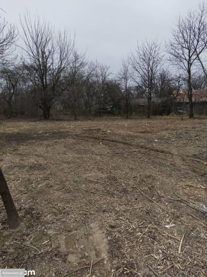 Działka rolno-budowlana Rączyna. Zdjęcie 4