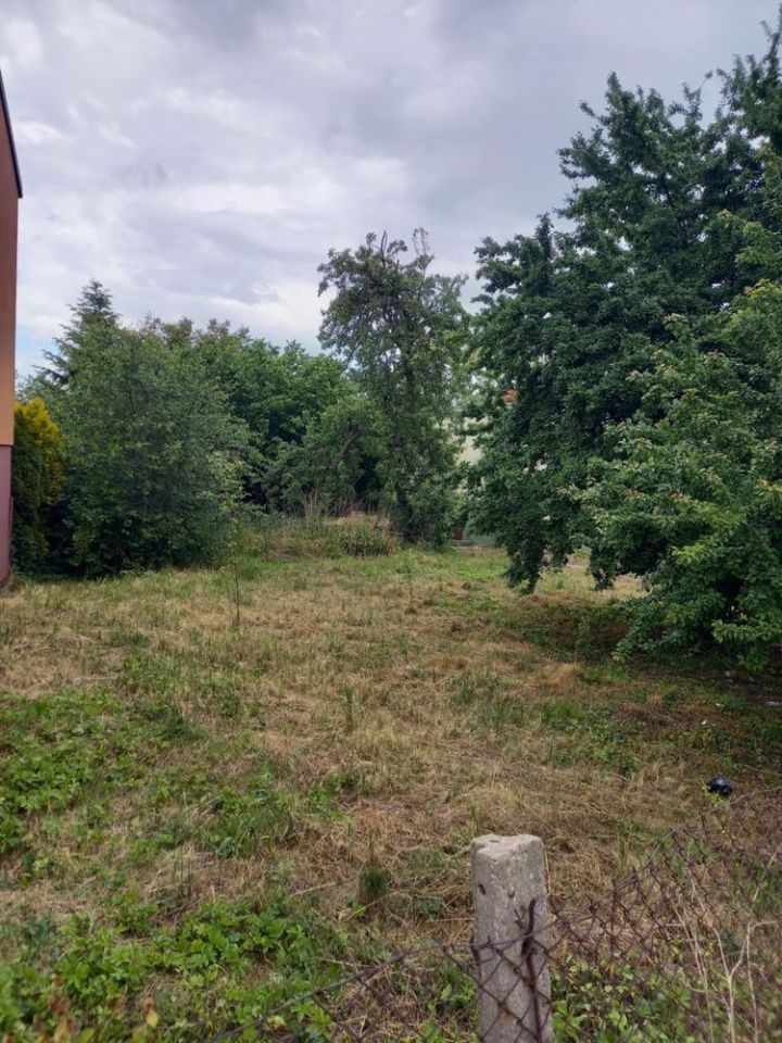 Lokal Bogusławice, ul. Kruszyńska. Zdjęcie 2