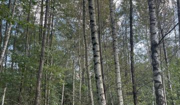 Działka leśna Olszyny