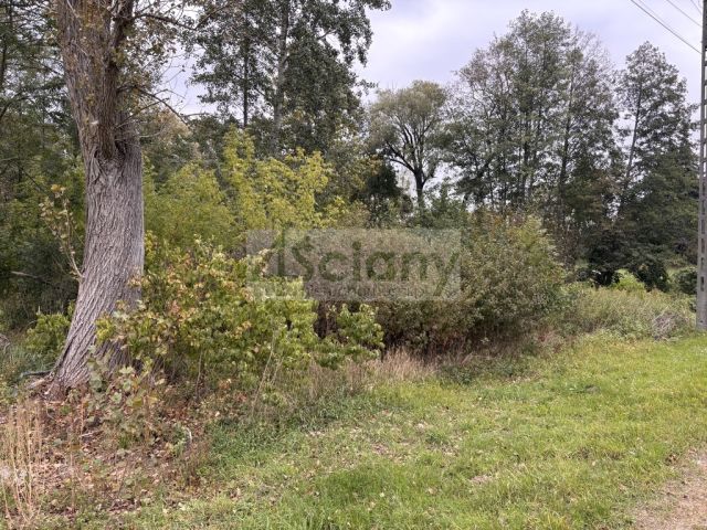 Działka budowlana Wilków Polski. Zdjęcie 6