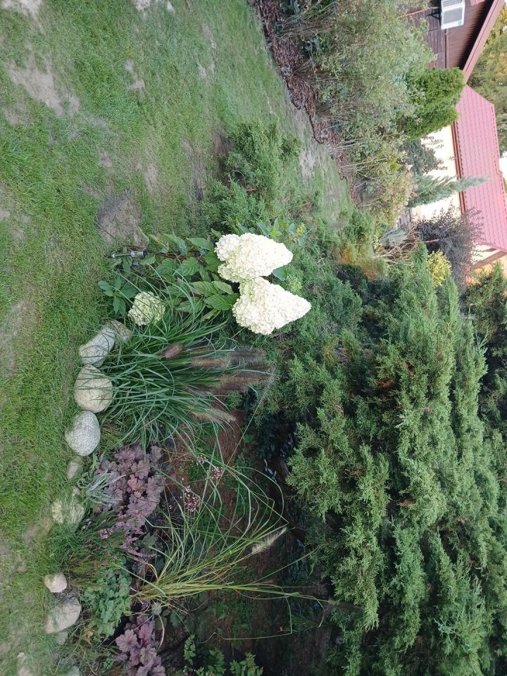 Działka rod Stefanowo, ul. Ułanów. Zdjęcie 6