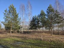 Działka rolno-budowlana Leontyna, ul. Dębowa. Zdjęcie 2