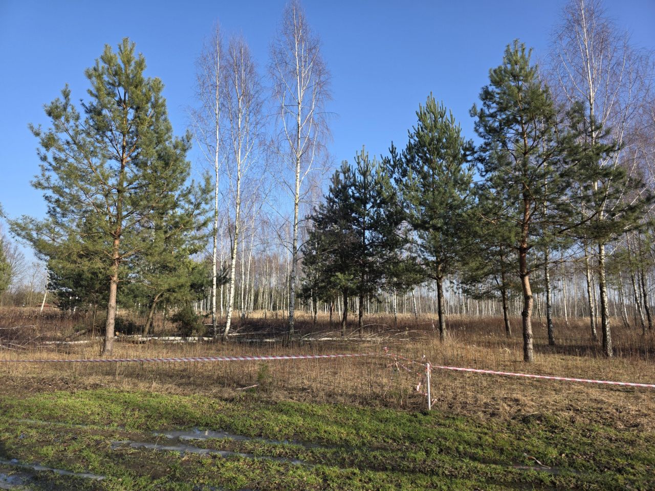 Działka rolno-budowlana Leontyna, Dębowa. Zdjęcie 3