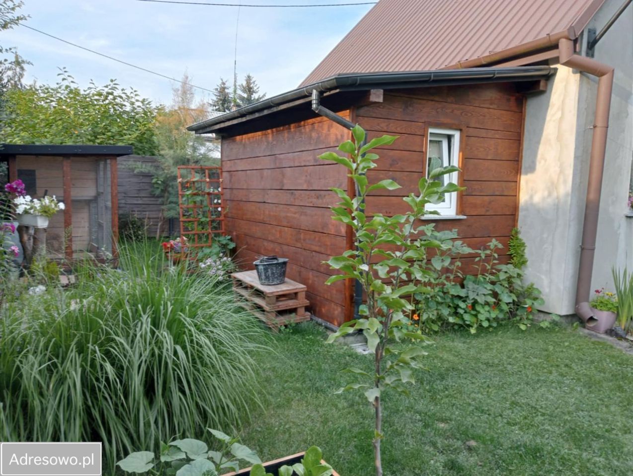 Działka budowlana Dziekanów Leśny. Zdjęcie 6