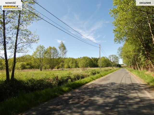 Działka budowlana Łoźnica. Zdjęcie 1