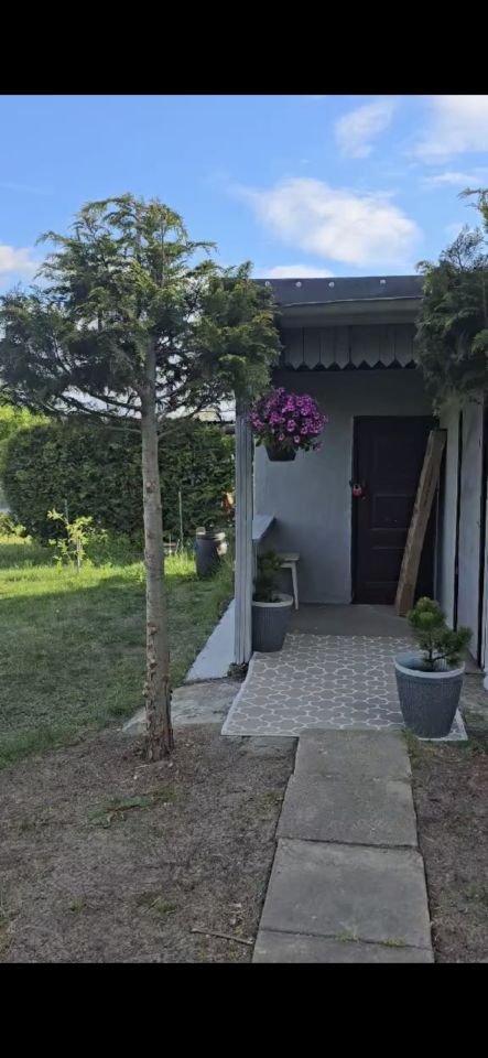 Działka rod Łódź Rokicie, ul. Świętojańska. Zdjęcie 4