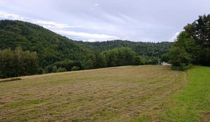 Działka Świnna