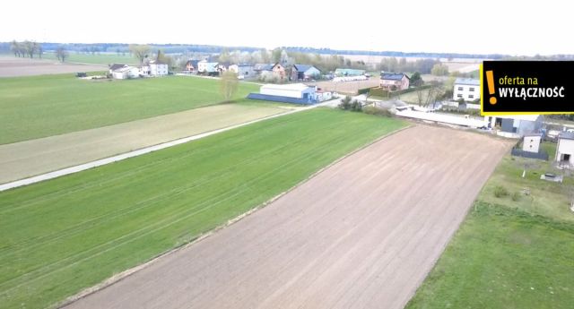 Działka rolno-budowlana Dzimierz. Zdjęcie 1