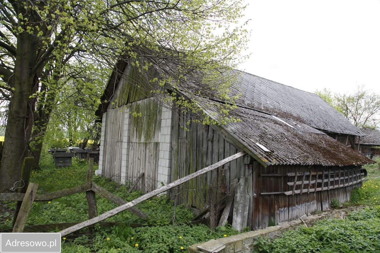 siedlisko, 3 pokoje Żmijowiska. Zdjęcie 17