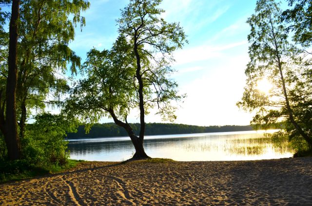 Działka rekreacyjna Choczewo, ul. Dębowa. Zdjęcie 1