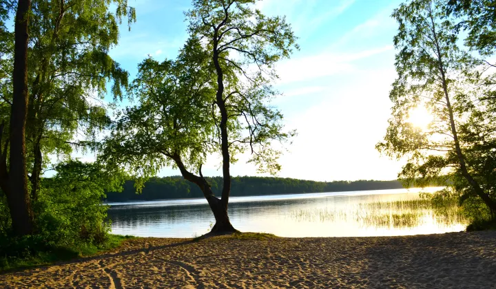 Działka rekreacyjna Choczewo, ul. Dębowa