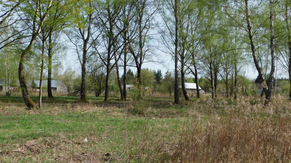 Działka budowlana Chojnów, ul. Graniczka. Zdjęcie 3