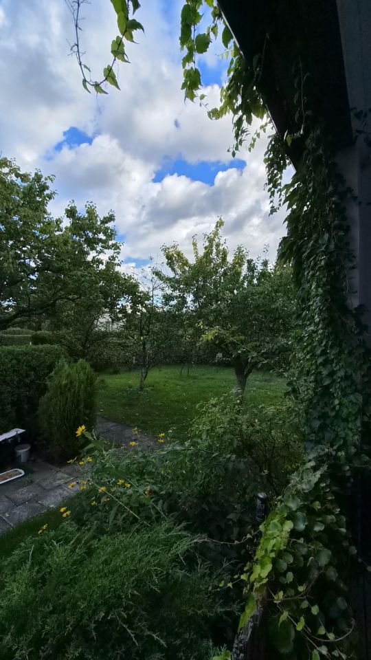 Działka rod Swarzędz. Zdjęcie 8