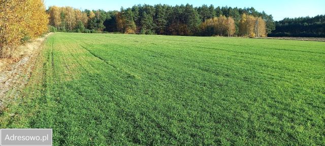 Działka rolno-budowlana Wąglin. Zdjęcie 1