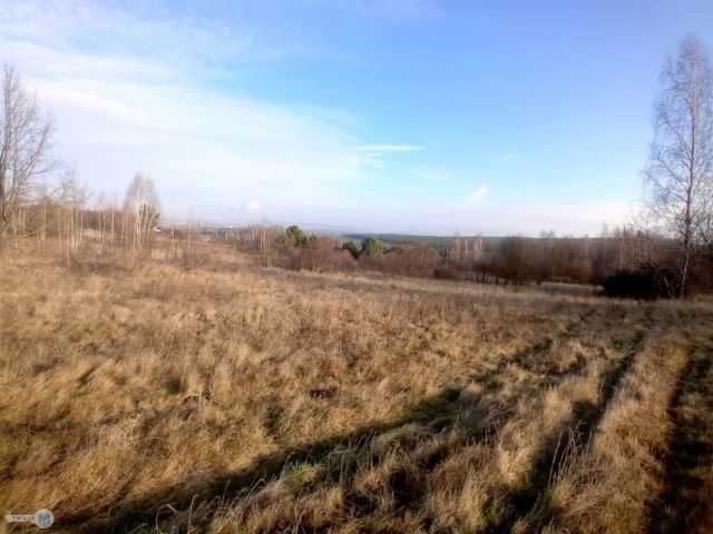 Działka inwestycyjna Daleszyce. Zdjęcie 2