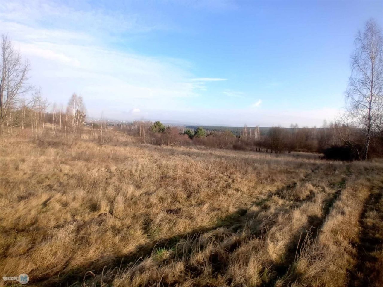 Działka inwestycyjna Daleszyce. Zdjęcie 2