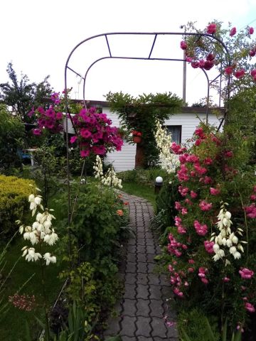 Działka rekreacyjna Bydgoszcz Szwederowo, ul. Bielicka. Zdjęcie 1