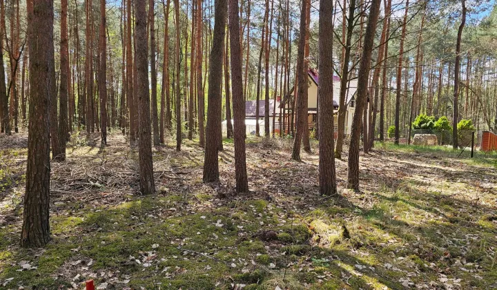 Działka budowlana Siestrzeń