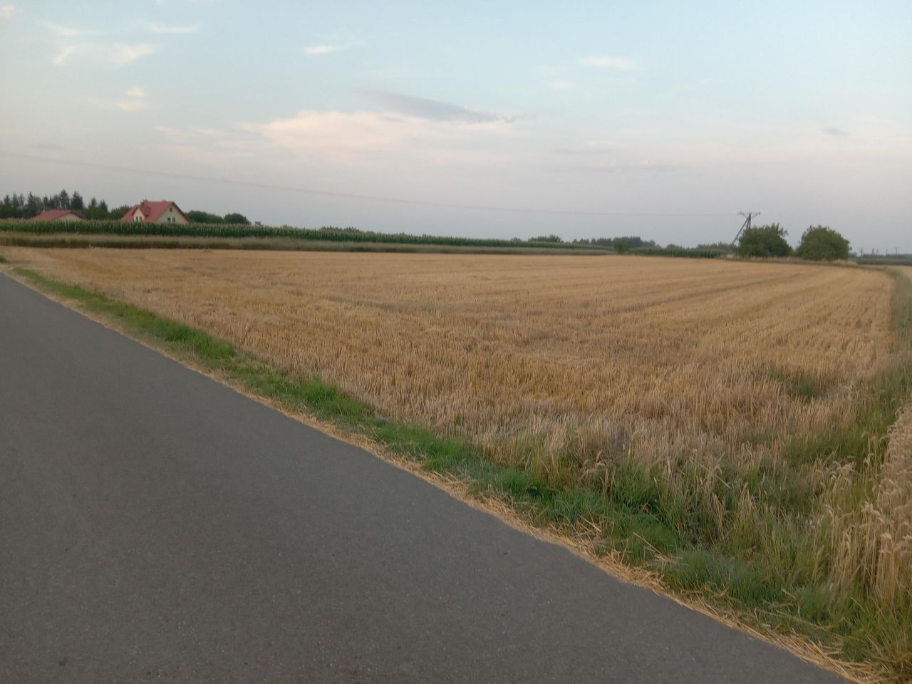 Działka budowlana Rogóżno. Zdjęcie 5