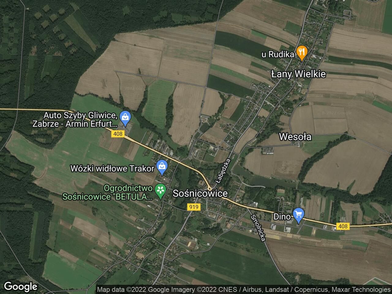 Lokal Sośnicowice, ul. Kasztanowa