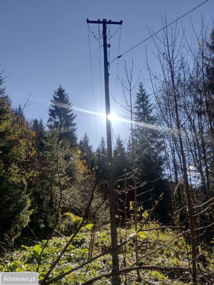 Działka rekreacyjna Szczawa. Zdjęcie 2