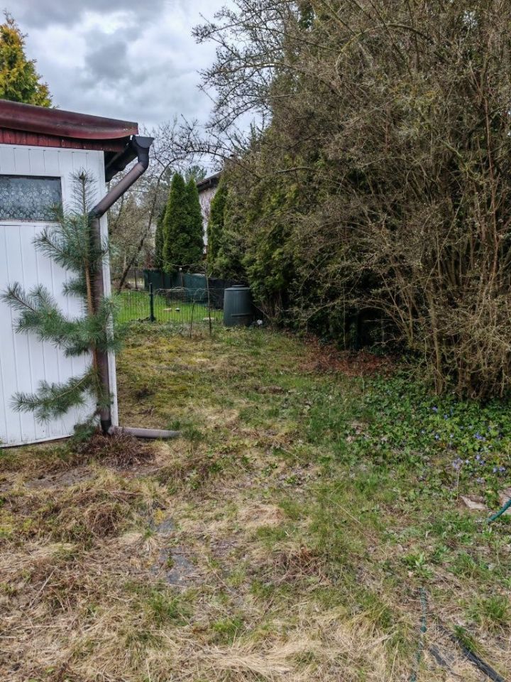 Działka rod Chludowo. Zdjęcie 7