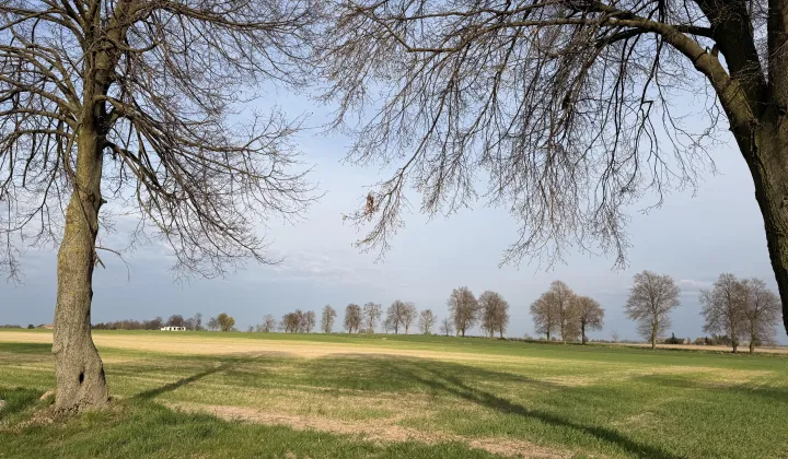 Działka budowlana Zdziechowa