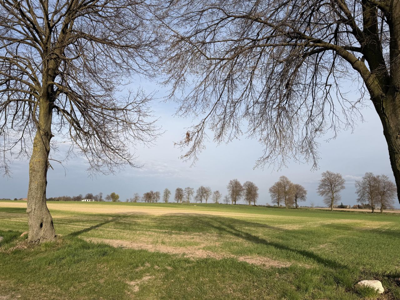 Działka budowlana Zdziechowa. Zdjęcie 1
