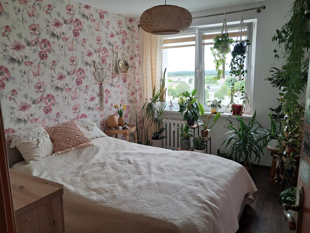Mieszkanie 3-pokojowe Bydgoszcz Kapuściska, ul. Walecznych. Zdjęcie 2