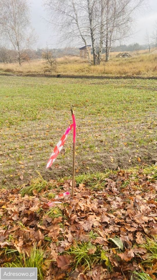 Działka rolno-budowlana Dorohusk-Osada, ul. Wierzbowa. Zdjęcie 11